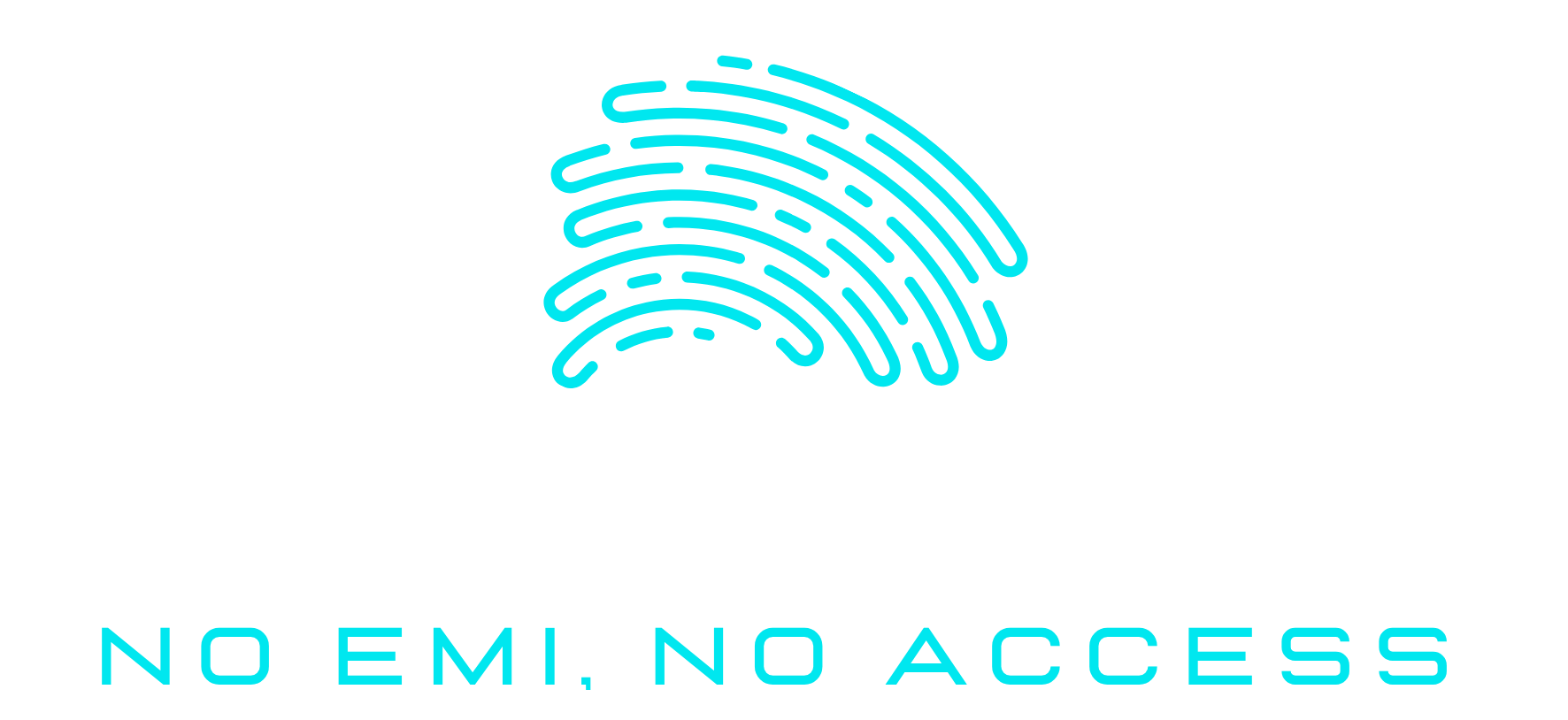 Finlock NC logo
